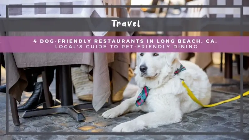 4 Dog-Friendly Restaurants in Long Beach, CA: Local's Guide to Pet-Friendly Dining