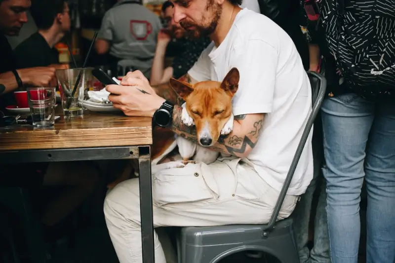 eating at a restaurant with your dog in long beach, california