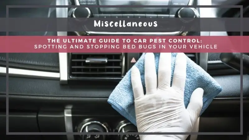 The Ultimate Guide to Car Pest Control: Spotting and Stopping Bed Bugs in Your Vehicle