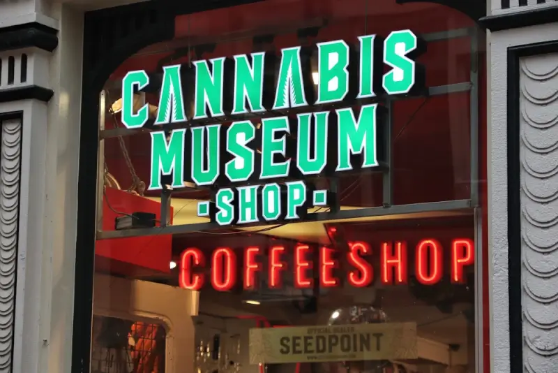 cannabis museum in amsterdam, netherlands.