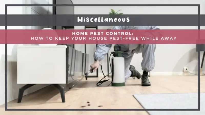 Home Pest Control: How to Keep Your House Pest-Free While Away