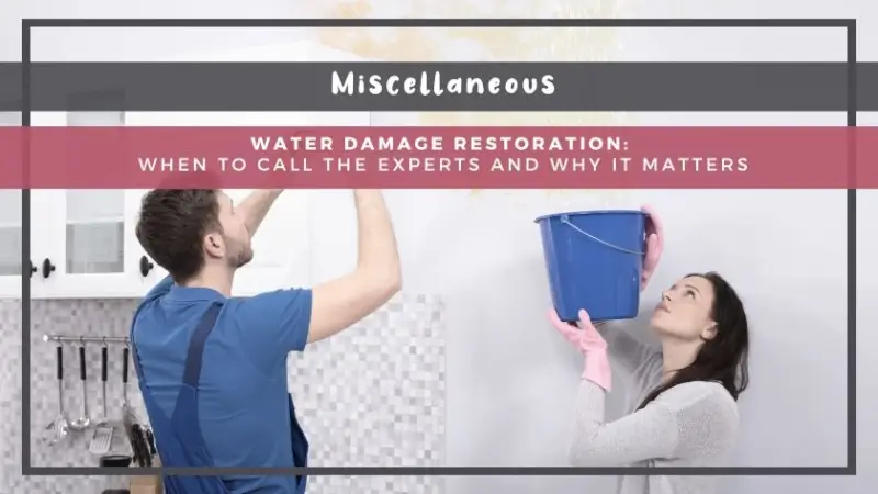 Water Damage Restoration: When to Call the Experts and Why It Matters
