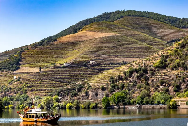 Dramatic terraced vineyards cascading down steep hillsides to the Douro River, with a traditional Portuguese rabelo boat in the foreground