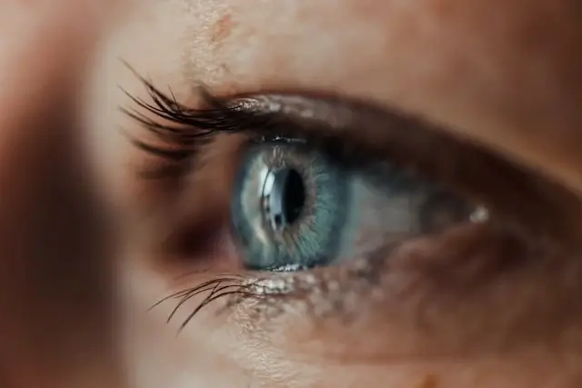 Close-up of blue eye with long, defined eyelashes showing mascara for lash growth results