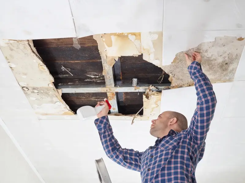 Water damage restoration professional repairing ceiling with severe water stains and mold damage from flooding