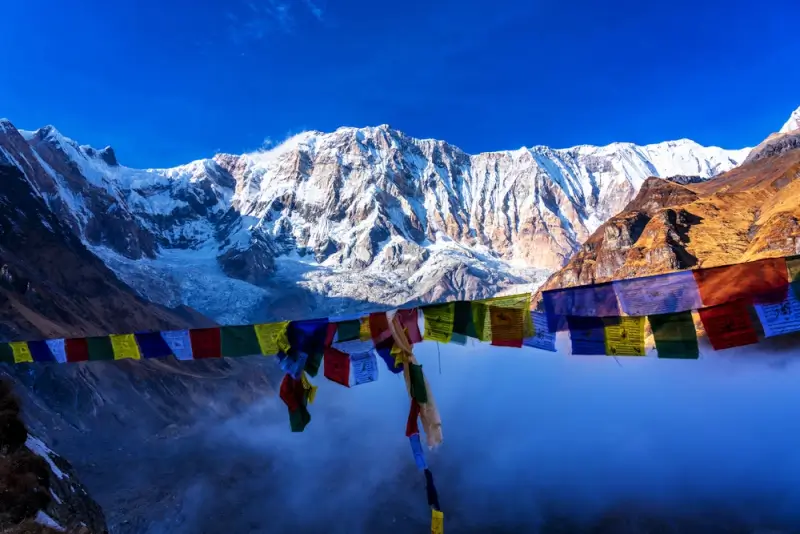 Colorful Tibetan prayer flags flutter in the foreground against a backdrop of snow-covered Annapurna peaks under a brilliant blue sky, with clouds filling the valley below at Annapurna Base Camp