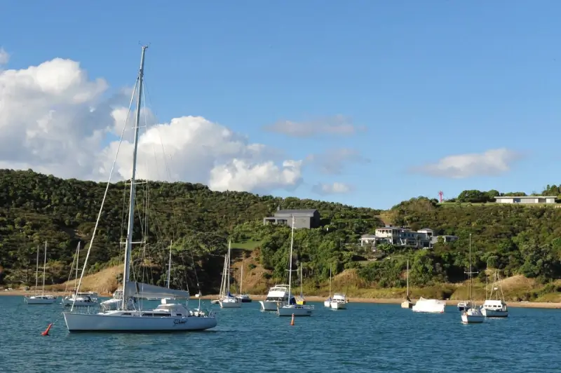 Sailboats anchored in a tranquil Auckland harbor bay with native bush-covered hills and waterfront homes, popular boating attraction