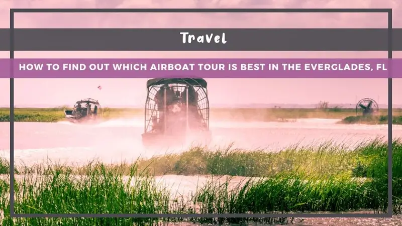 How to Find Out Which Airboat Tour is the Best in the Everglades, FL