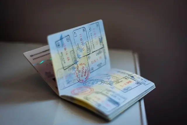 Open passport with multiple visa stamps and entry marks, representing digital nomad travel documentation and international work adventures