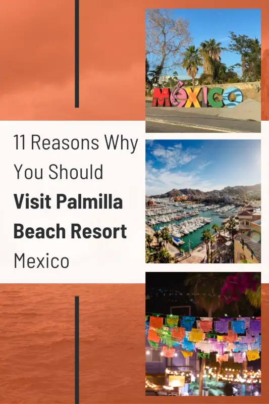Top 11 Things to Do in Palmilla Los Cabos: Ultimate Guide to Luxury & Adventure - The BeauTraveler