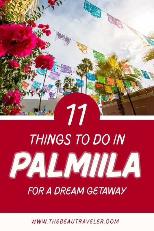 Top 11 Things to Do in Palmilla Los Cabos: Ultimate Guide to Luxury & Adventure - The BeauTraveler