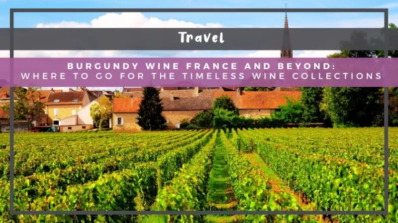 Burgundy Wine France and Beyond: Where to Go for the Timeless Wine Collections