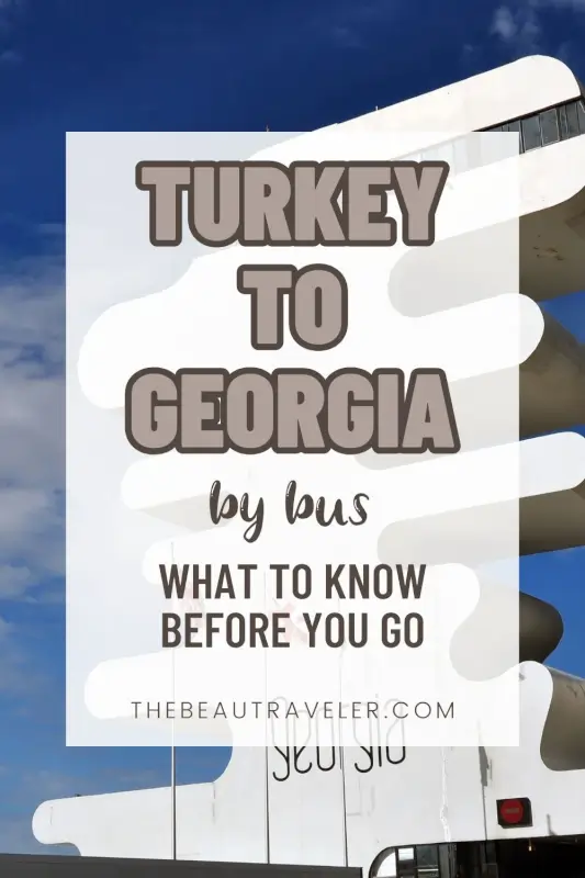 Türkiye-Georgia Border Crossing via Sarpi: What to Expect & Essential Tips - The BeauTraveler