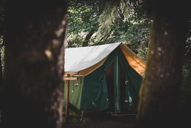 Coody tent setup in forest campsite with natural shade, demonstrating easy camping gear essentials for woodland adventures and nature camping