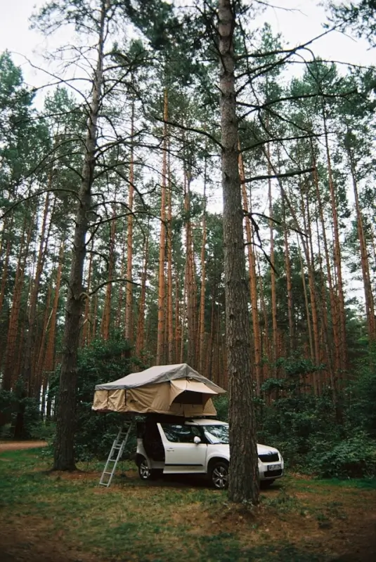 Rooftop camping tent setup on vehicle in pine forest, versatile camping gear essentials for overlanding and car camping adventures