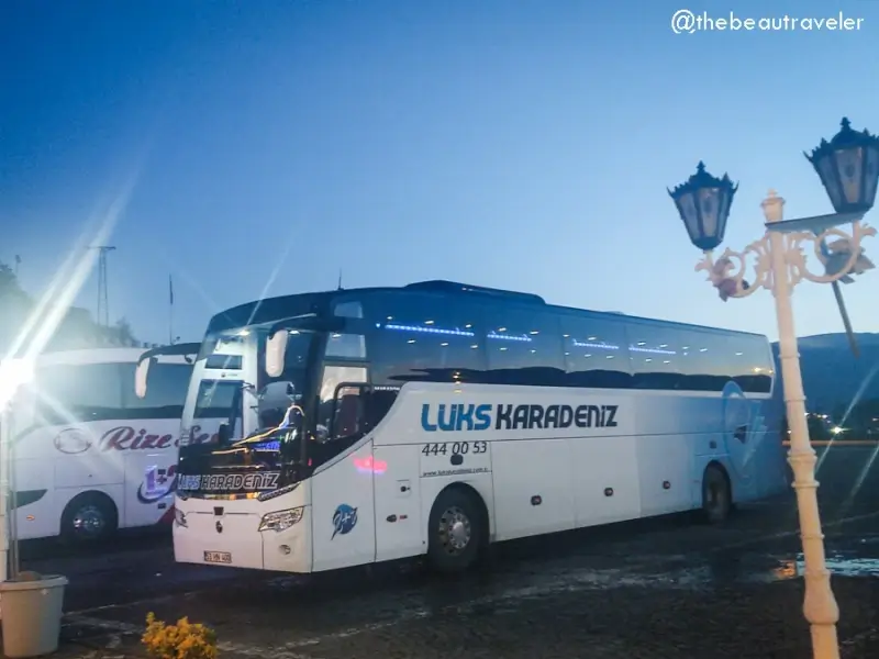 Luks Karadeniz and Rize buses parked at rest stop during Turkey-Georgia cross-border travel route