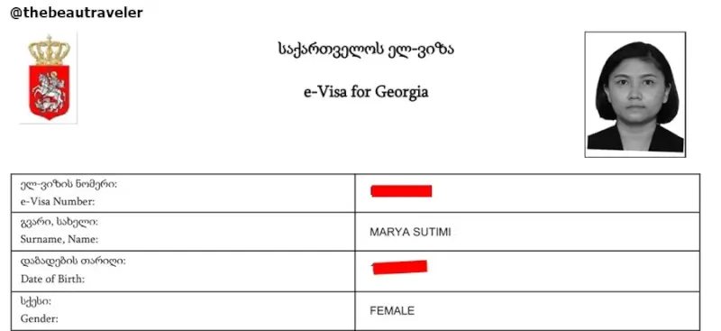Georgia e-visa document with Georgian coat of arms and passport photo for Turkey-Georgia border crossing entry