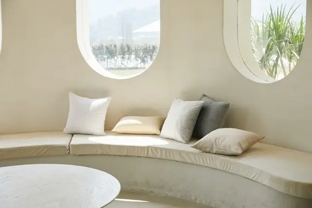 Minimalist living space with clean curved seating, plants, and natural light creating calm organized home environment