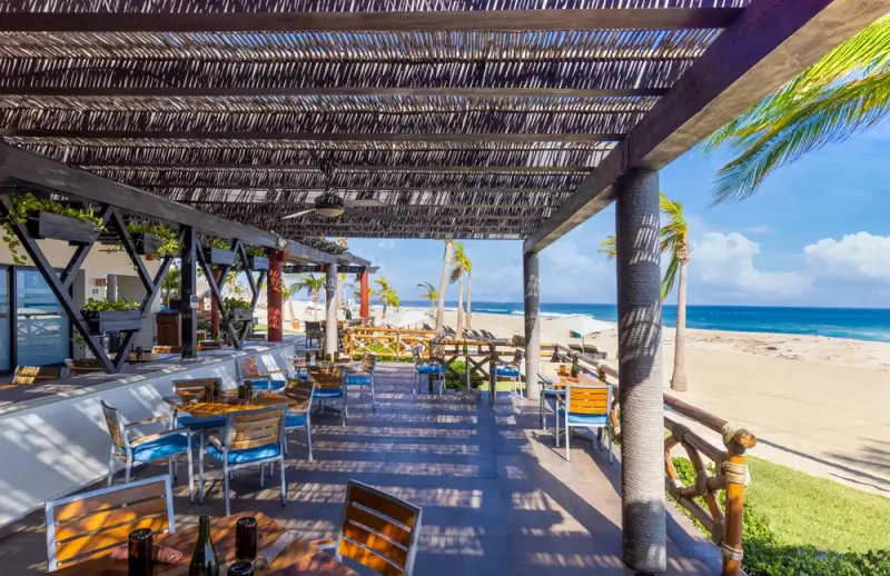Beachfront restaurant terrace with ocean views and palm trees at Palmilla Los Cabos resort