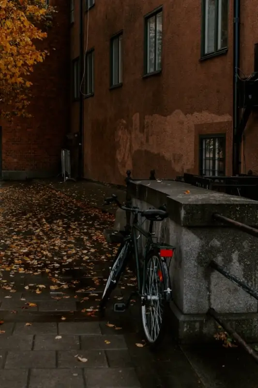 Black bicycle parked on wet cobblestone street during autumn storm with fallen leaves scattered around, next to weathered brick building - depicting cycling travel in bad weather conditions