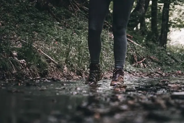Close-up of legs wearing dark cotton leggings and hiking boots walking on forest trail with fallen leaves