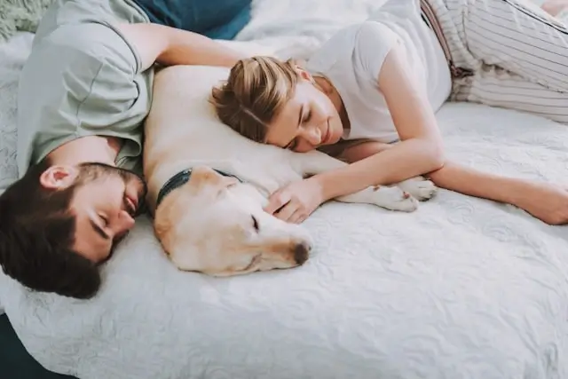 Couple relaxing in bed with their yellow Lab, one woman gently petting the sleeping dog
