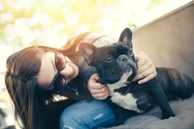 Woman wearing sunglasses cuddling a black and white French Bulldog while relaxing on a couch in bright natural sunlight