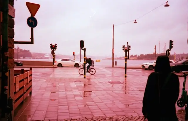 Person with bicycle on wet street at dusk after rainfall, with moody pink sky and traffic lights - capturing the aftermath of storm during travel journey