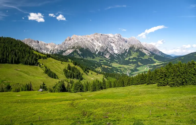 Expansive green Alpine meadows and rolling hills beneath dramatic limestone peaks in the Austrian Alps, with scattered traditional mountain huts and dense forest valleys under blue summer sky in Maria Alms.