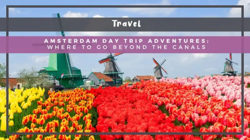 Amsterdam Day Trip Adventures: Where to Go Beyond the Canals