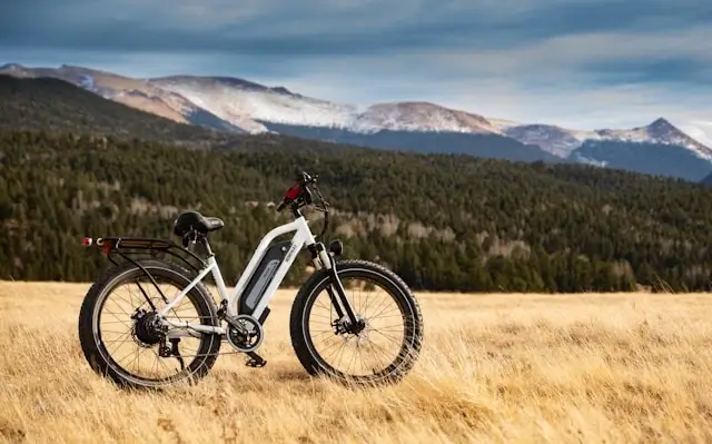 White electric mountain bike in golden grass field with snow-capped mountains in background