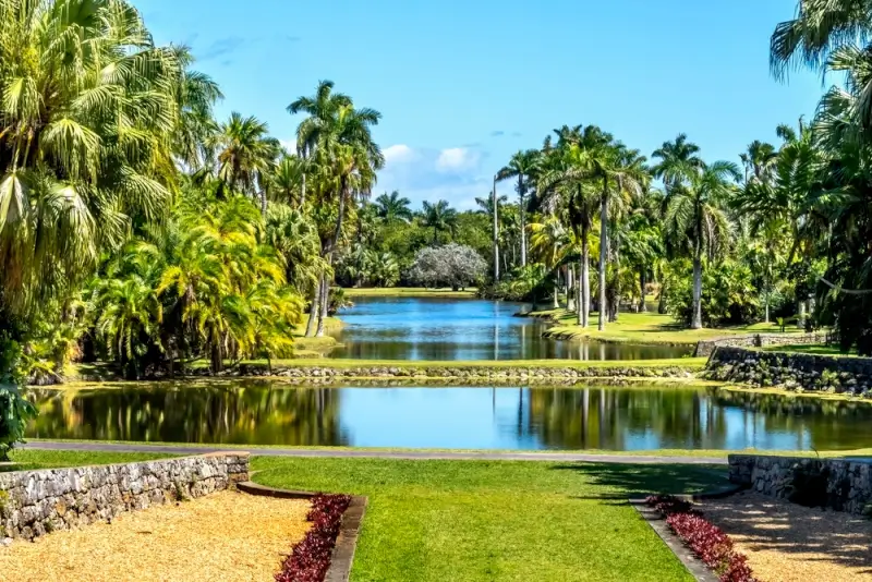 Tranquil pond surrounded by lush palm trees and manicured green lawns at Fairchild Tropical Botanic Garden in Miami under clear blue skies