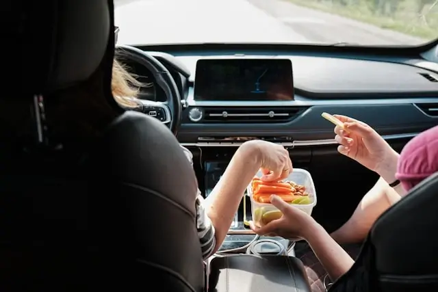 Passengers enjoying healthy snacks including fresh vegetables and fruit during a long car journey
