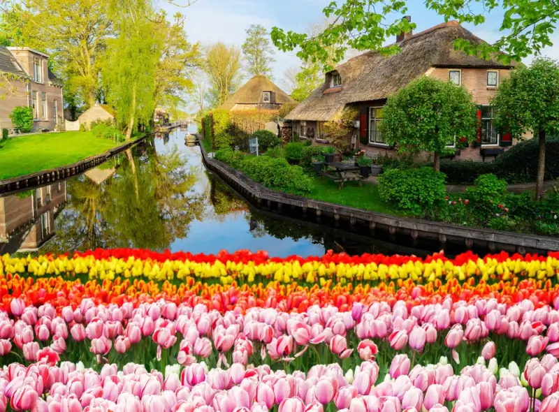 the rural dutch countryside in giethoorn