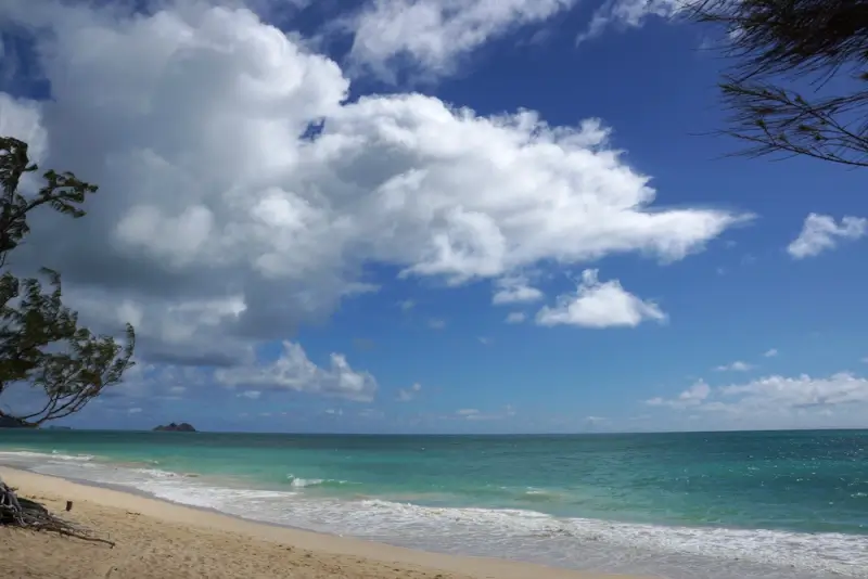 Waimanalo Beach shoreline with gentle waves, palm trees framing the view, and distant Mokulua Islands under dramatic cloud formations in Oahu