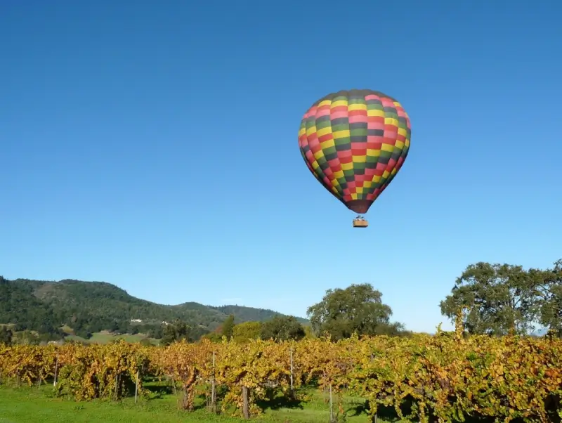 Colorful hot air balloon floating over golden vineyard rows with rolling hills in Napa Valley, California
