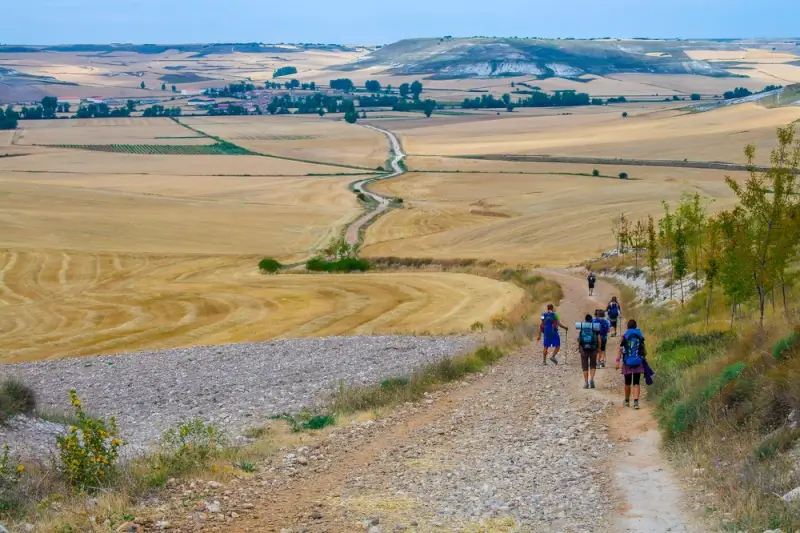 Hikers with backpacks walking through rolling wheat fields and open plains on Camino pilgrimage route in northern Spain