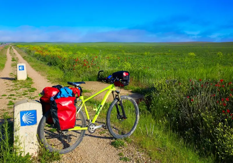 Touring bicycle with red panniers beside scallop shell waymarkers on vibrant green trail through Palencia wildflowers