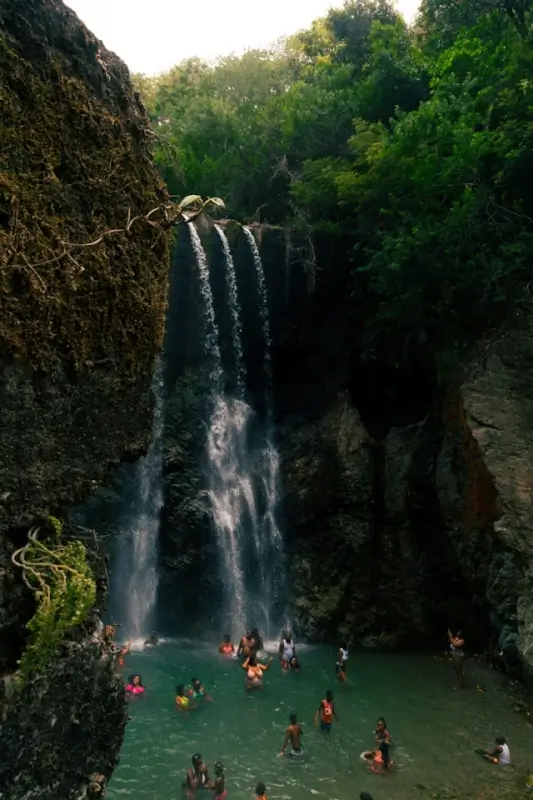 Tourists swimming in natural pool beneath cascading waterfall surrounded by lush jungle in St. Thomas, Jamaica
