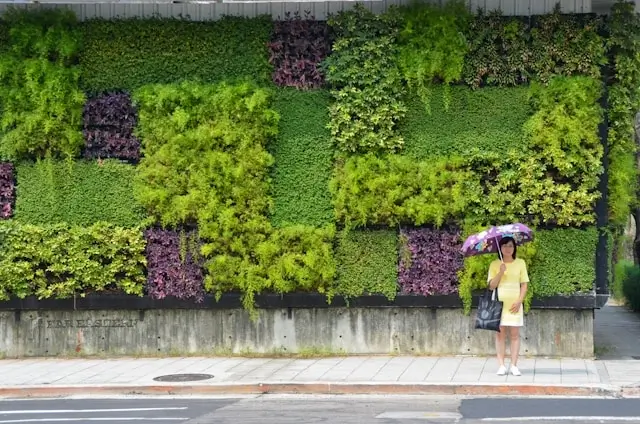 Woman with umbrella standing before vibrant vertical garden wall, finding beauty in slow-paced urban exploration