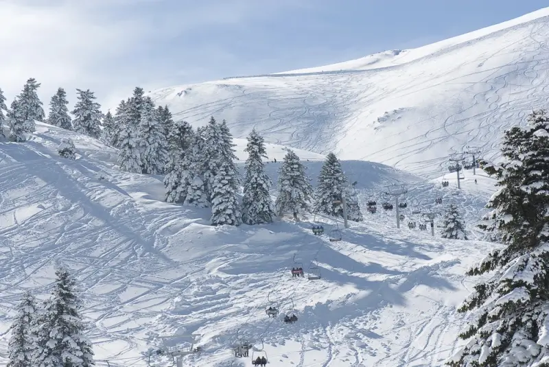 Kalavryta Ski Center on Mount Helmos with groomed slopes, chairlifts, and snow-covered pine trees